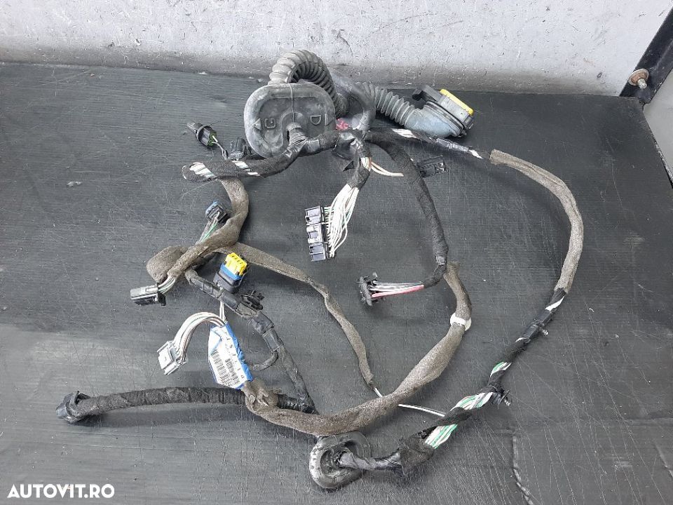 Cablaj instalatie electrica usa stanga fata renault laguna 3 bt0 1 241250105r - 2