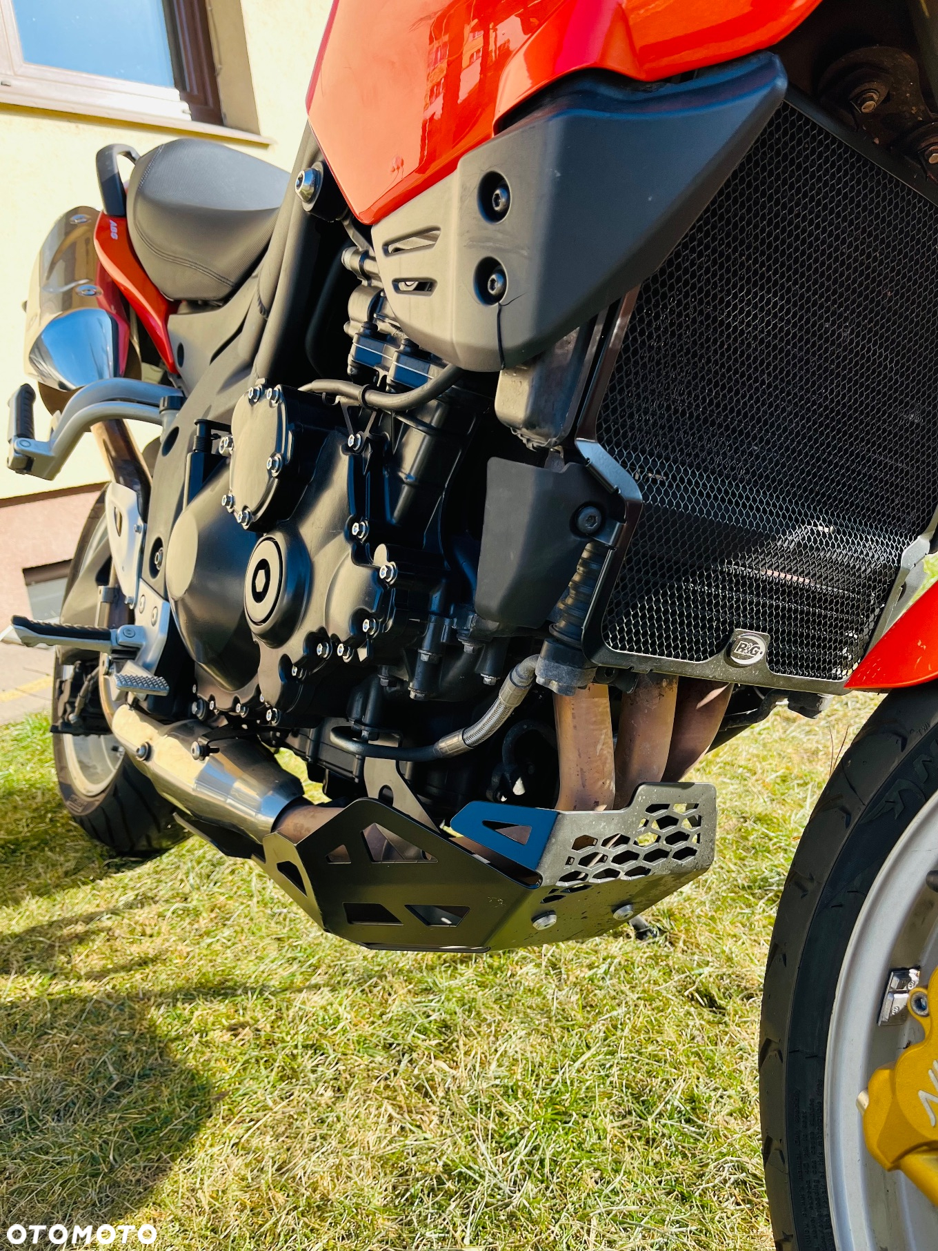 Triumph Tiger - 8