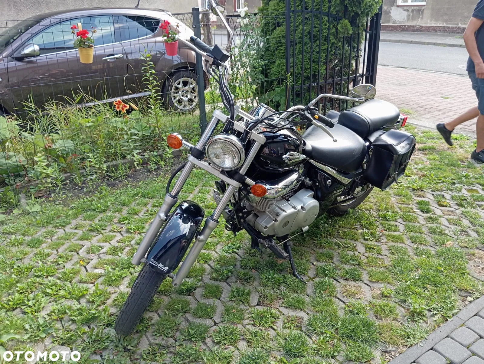 Suzuki Intruder - 2