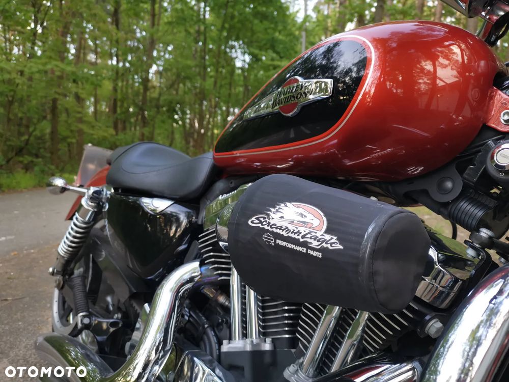Harley-Davidson Sportster Custom 1200C - 3