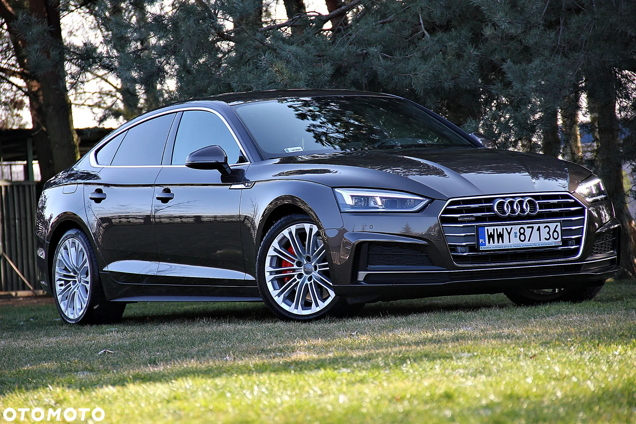 Audi A5 - 11