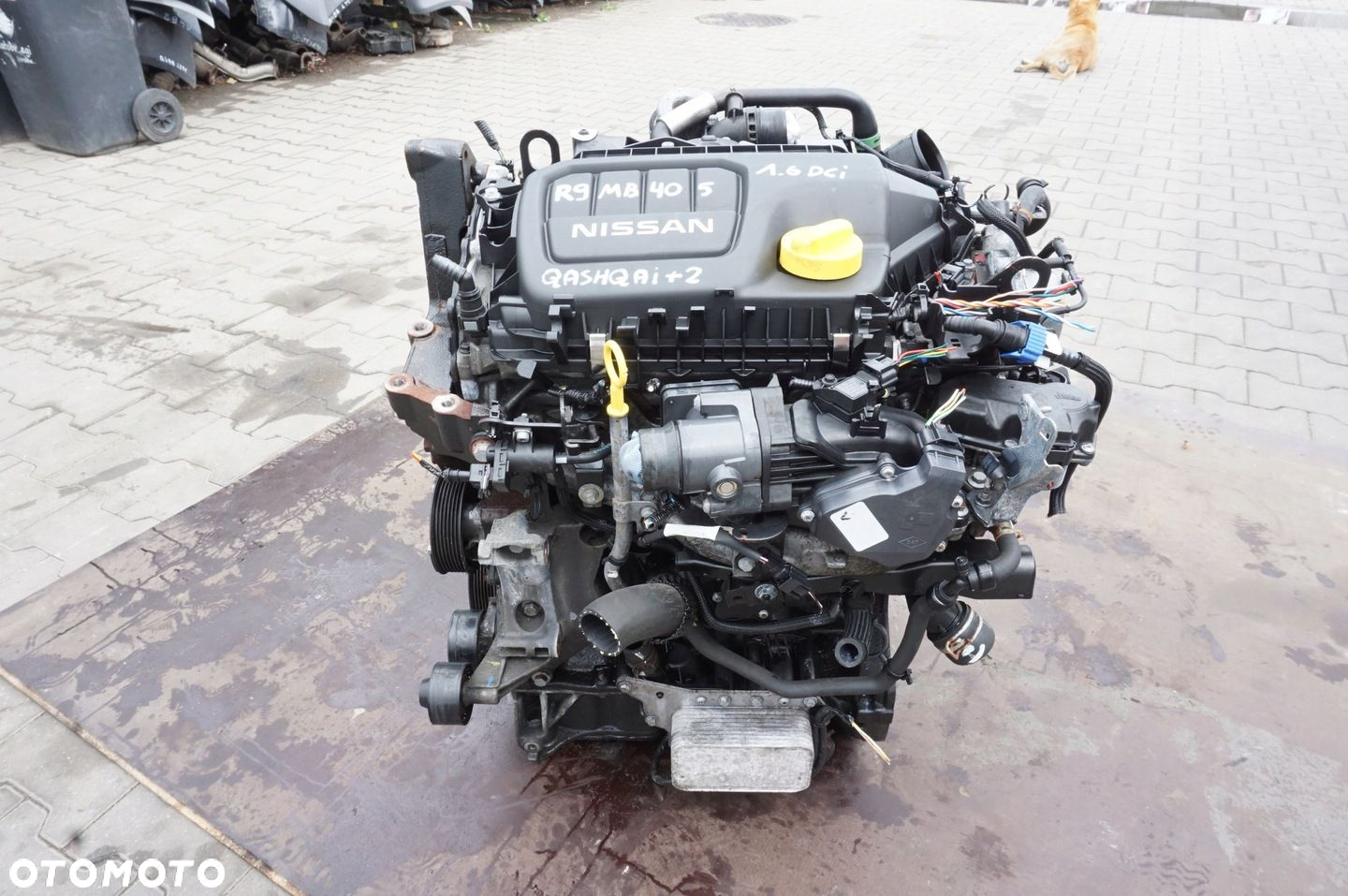 SILNIK R9M B405 NISSAN RENAULT 1.6 DCI 78 TYS KM KOMPLETNY - 3
