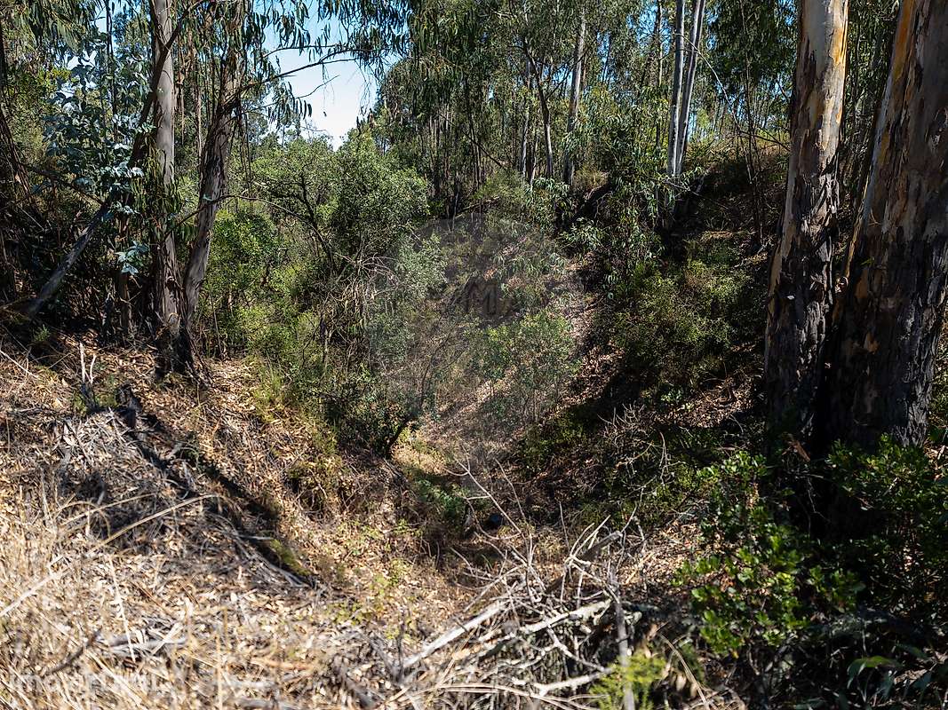 Terreno  para venda - Grande imagem: 3/6