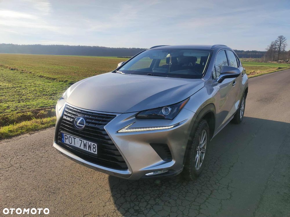 Lexus NX - 1