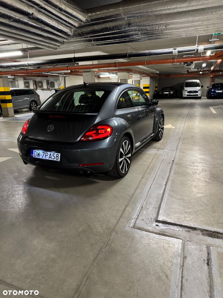 Volkswagen Beetle - 5
