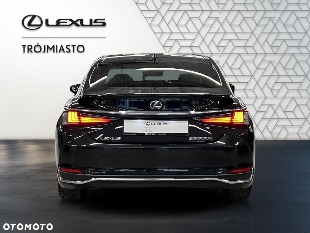 Lexus ES 300h Business Edition - 5