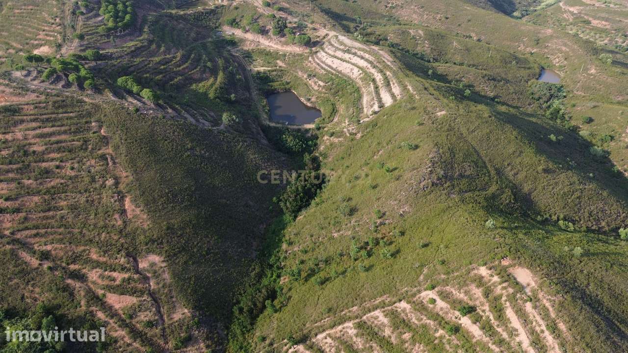 Terreno rústico com 31.040 m² – Serro da Venda, São Bartolomeu de Mess - Grande imagem: 3/5
