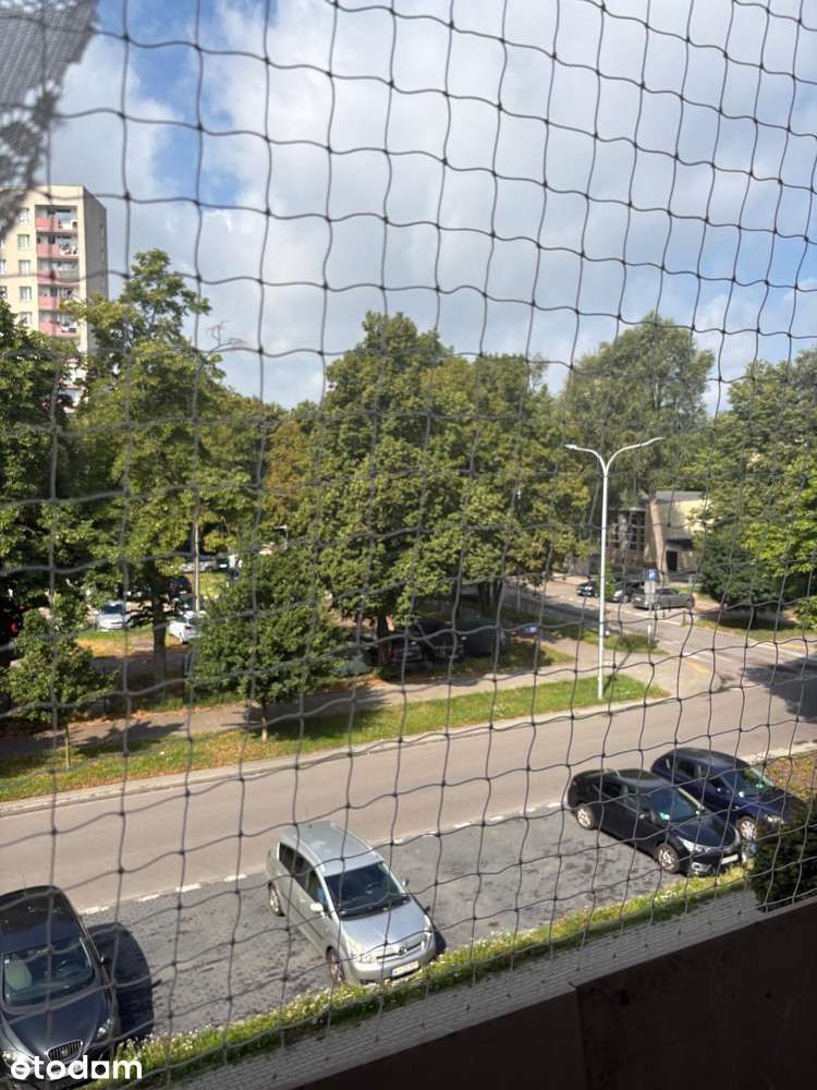 3 pokoje/Mieszkanie na wynajem/Saska Kępa/ ul. Afrykańskiej