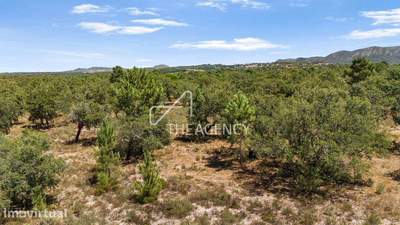 11,3 Hectares de Montado de Sobro | PIP Submetido | Moradia de 455 m² - Grande imagem: 3/5