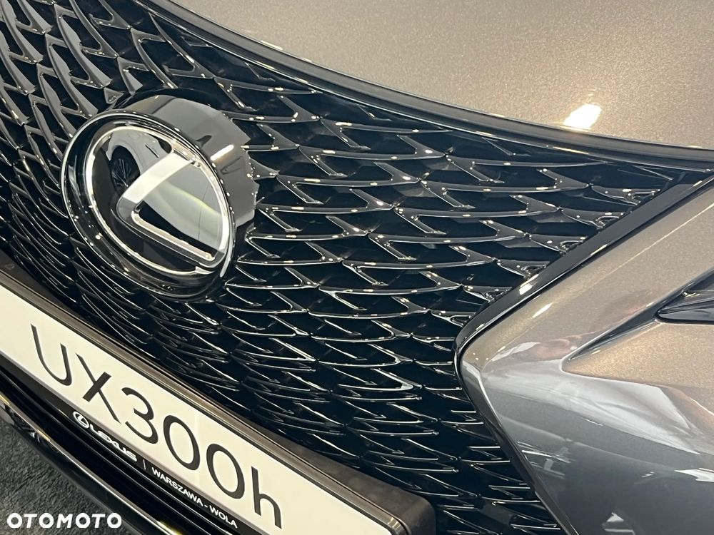 Lexus UX 300h F Sport Design - 8