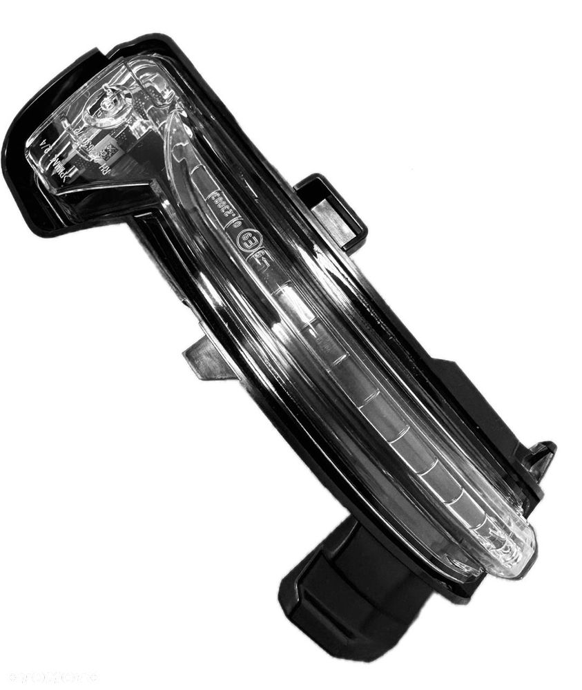 Kierunkowskaz w lusterku, lampka kierunkowskazu prawa Renault Kangoo 3 - 1