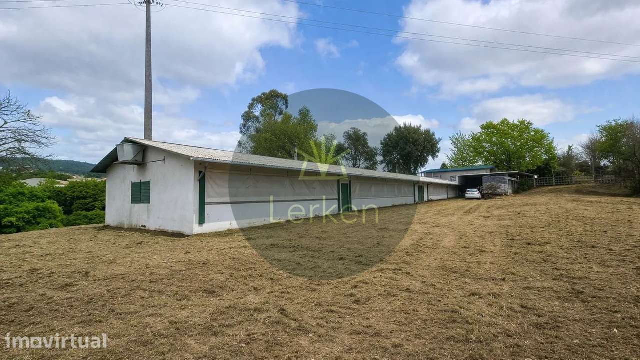 Terreno de 3.000 m² com Armazém de 500 m2 – S. Simão | V. N. Famalição - Grande imagem: 5/5