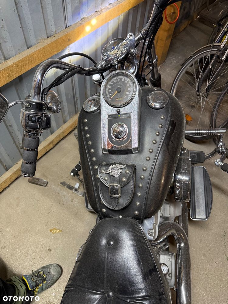 Harley-Davidson Softail Custom - 4