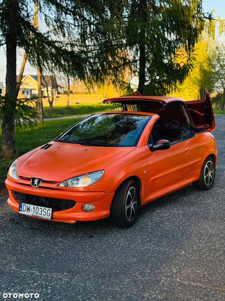 Peugeot 206 - 6