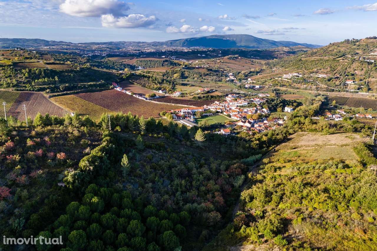 TERRENO RUSTICO | MECA | ALENQUER | 6000M2 - Grande imagem: 4/5