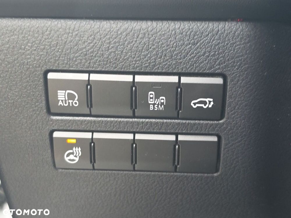 Lexus NX 300h F Sport AWD - 17
