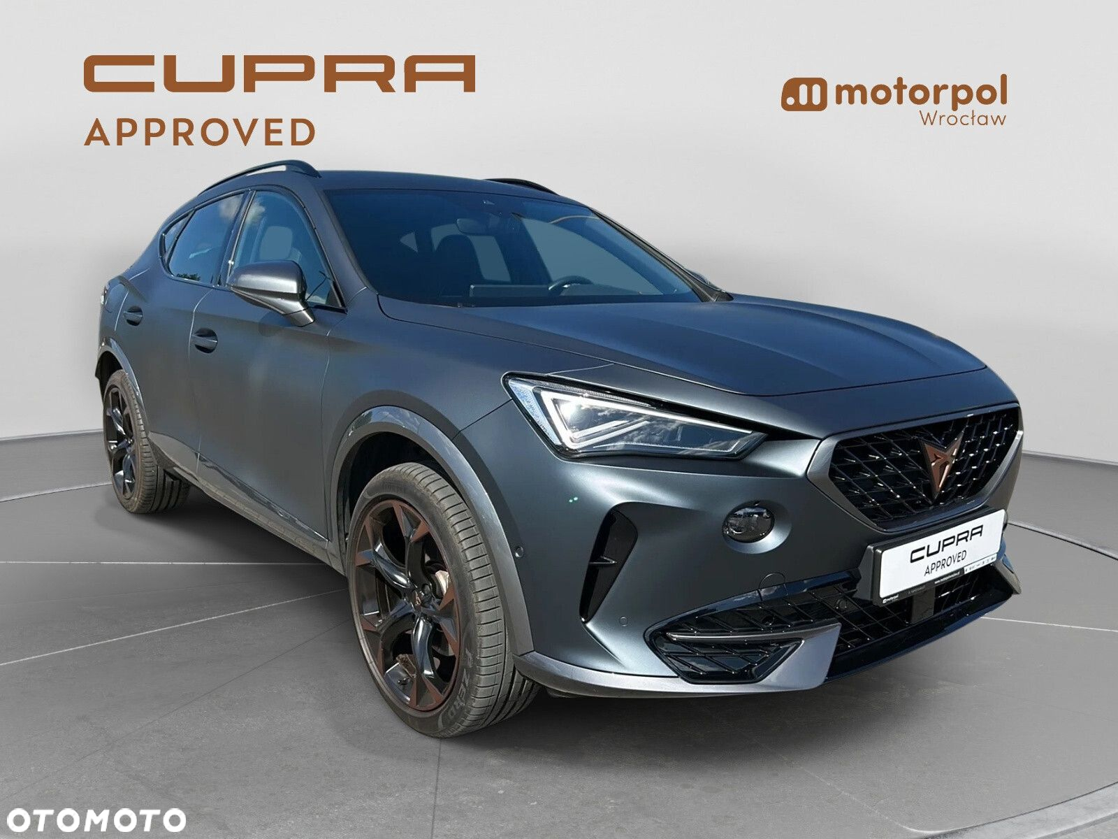Cupra Formentor 2.0 TSI 4Drive DSG - 15