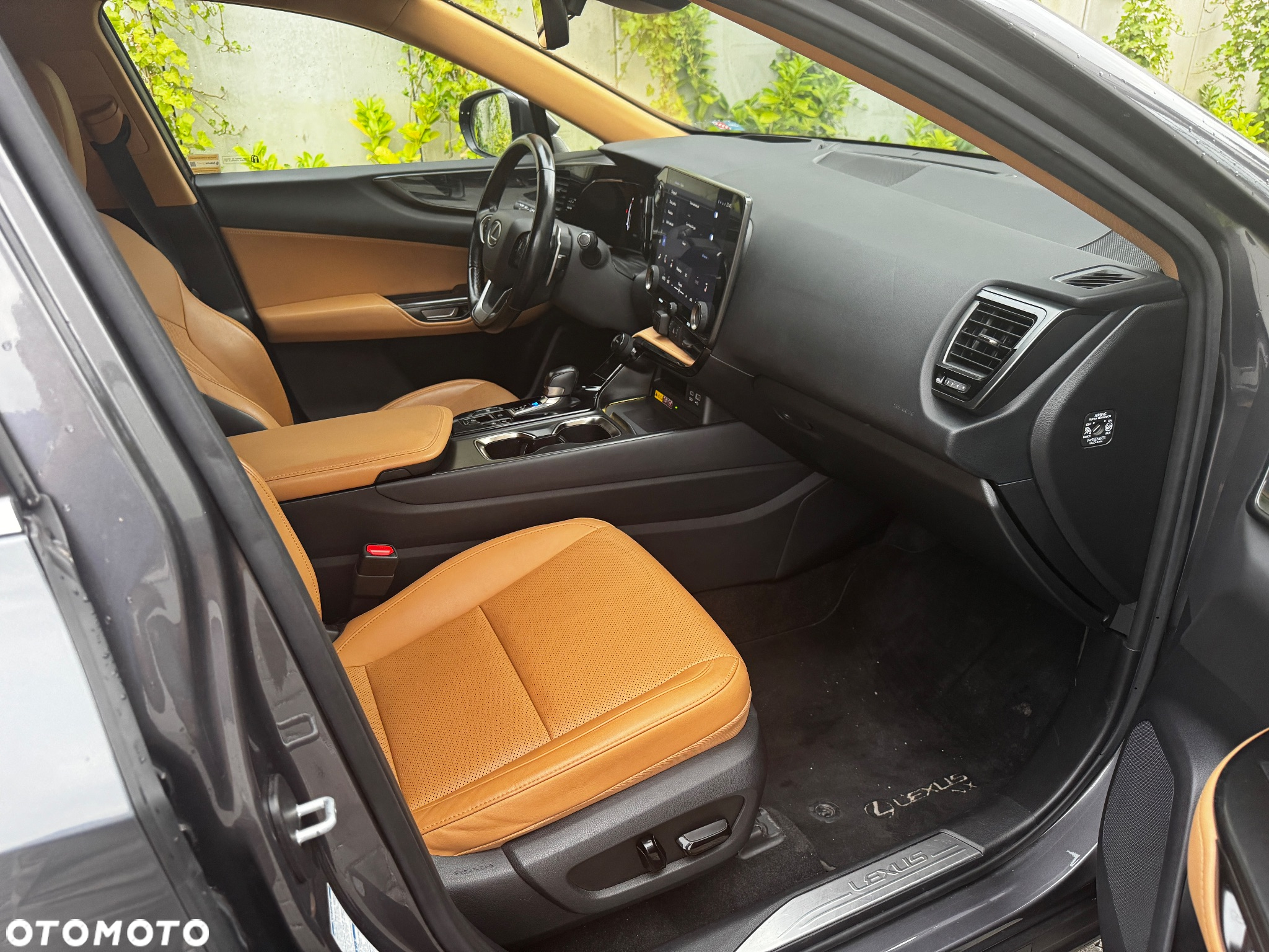 Lexus NX - 12