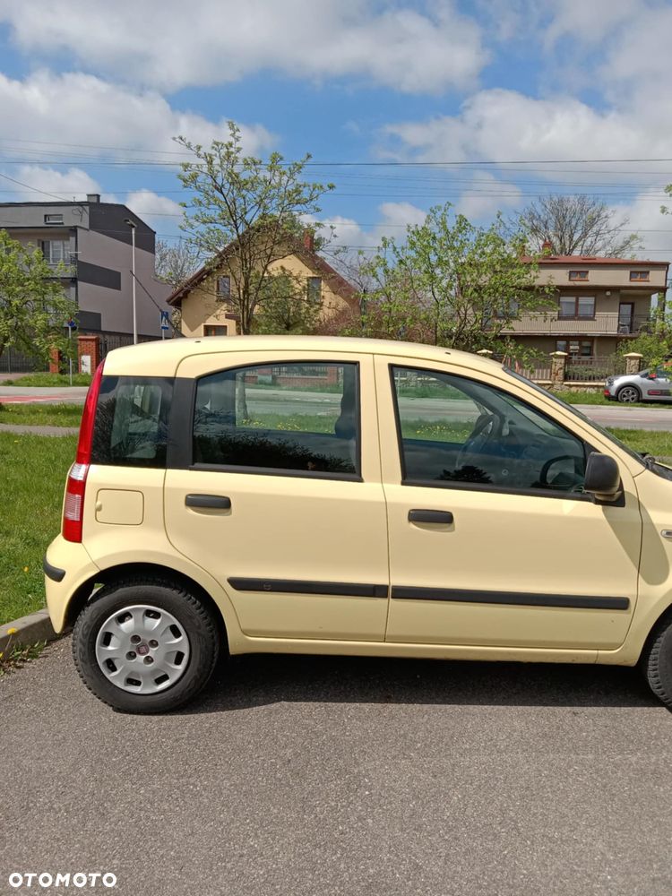 Fiat Panda 1.2 Classic Eco - 21