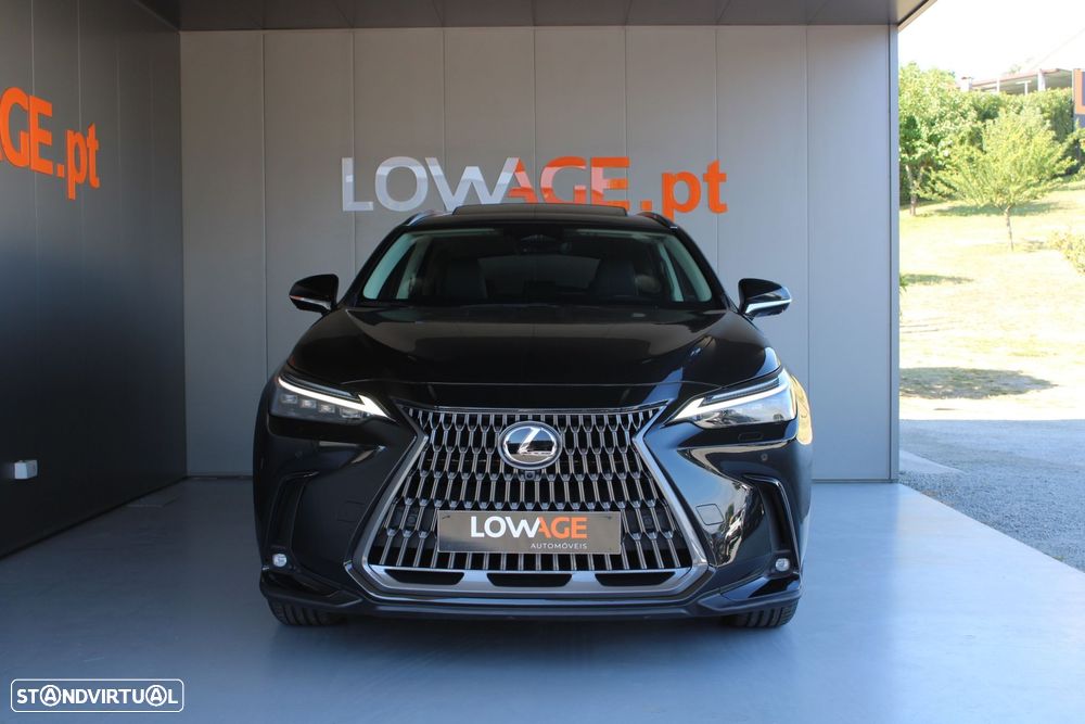 Lexus NX 450h+ Executive - 10