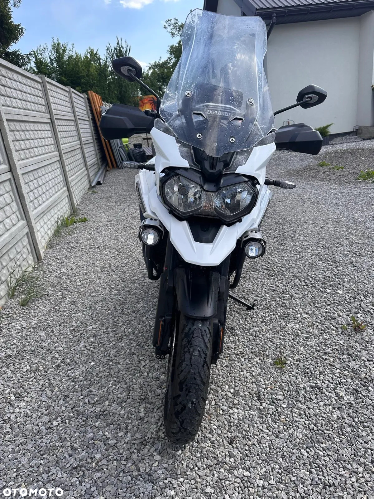 Triumph Tiger