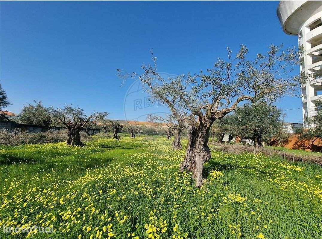 Terreno  para venda - Grande imagem: 3/15