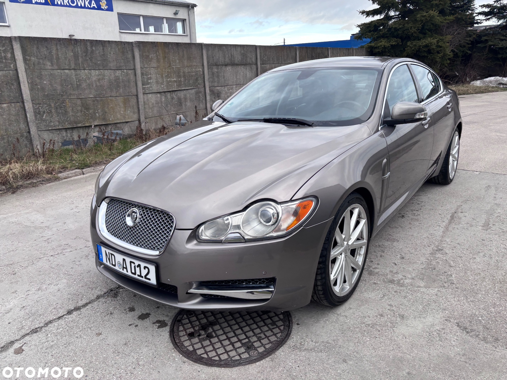 Jaguar XF 3.0 V6 D S Luxury - 8