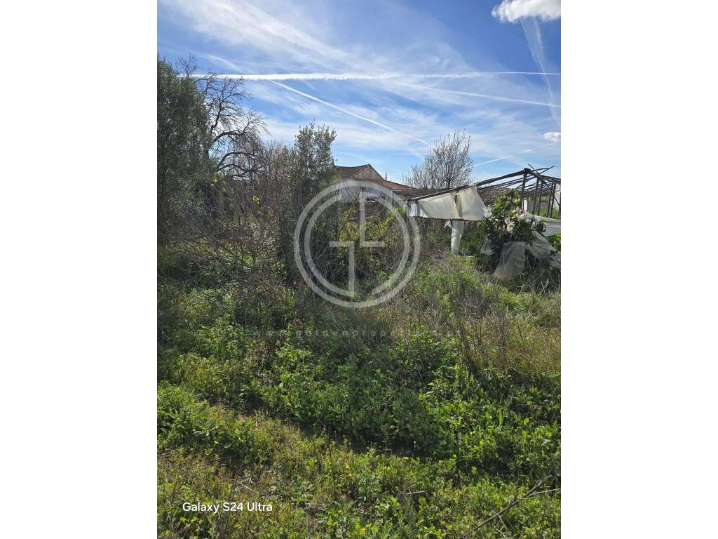 Terreno em Faro, Sitio do Besouro - Grande imagem: 2/6