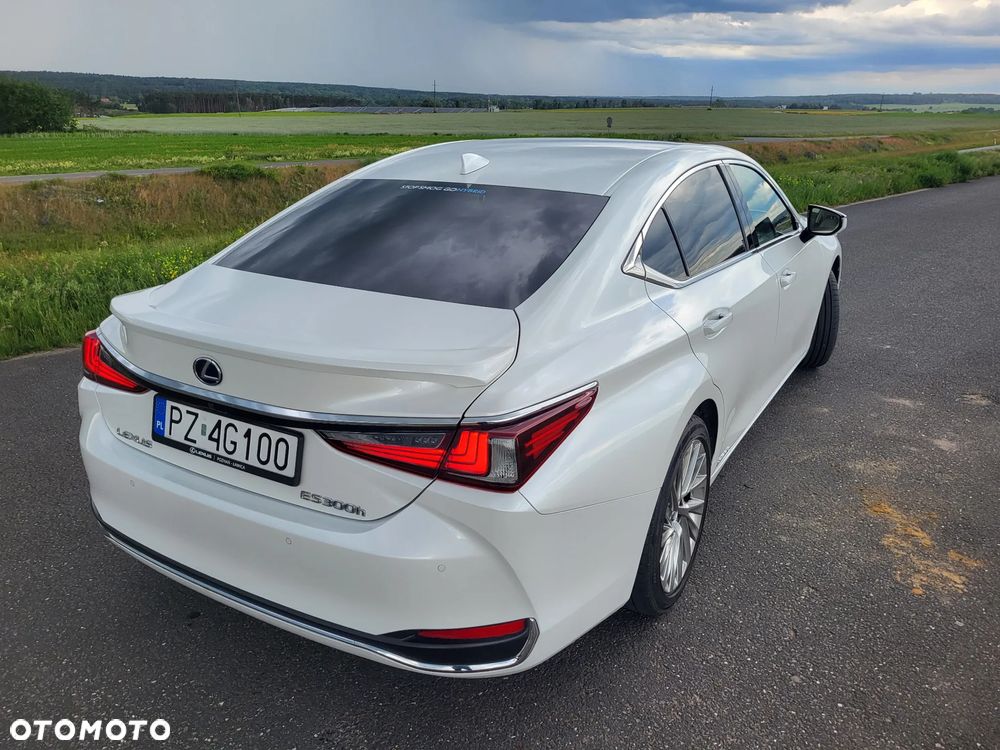 Lexus ES 300h Omotenashi - 10