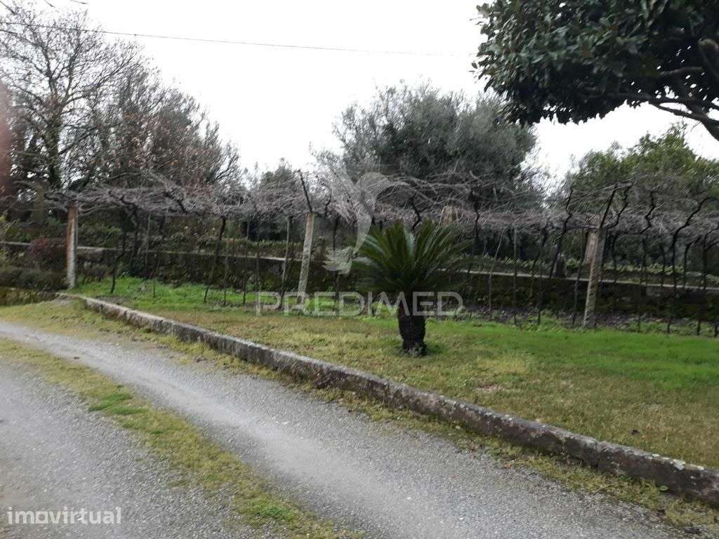 Moradia  T7 com terreno em Ponte Lima - Grande imagem: 2/23
