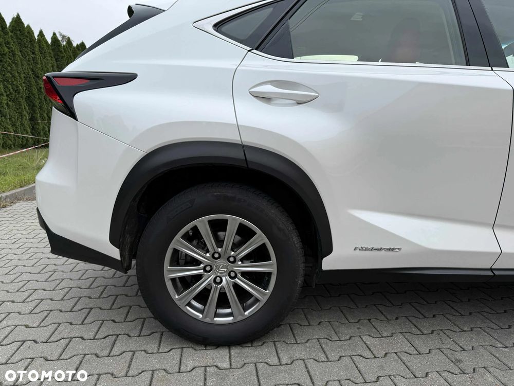 Lexus NX 300h Elite 2WD - 7