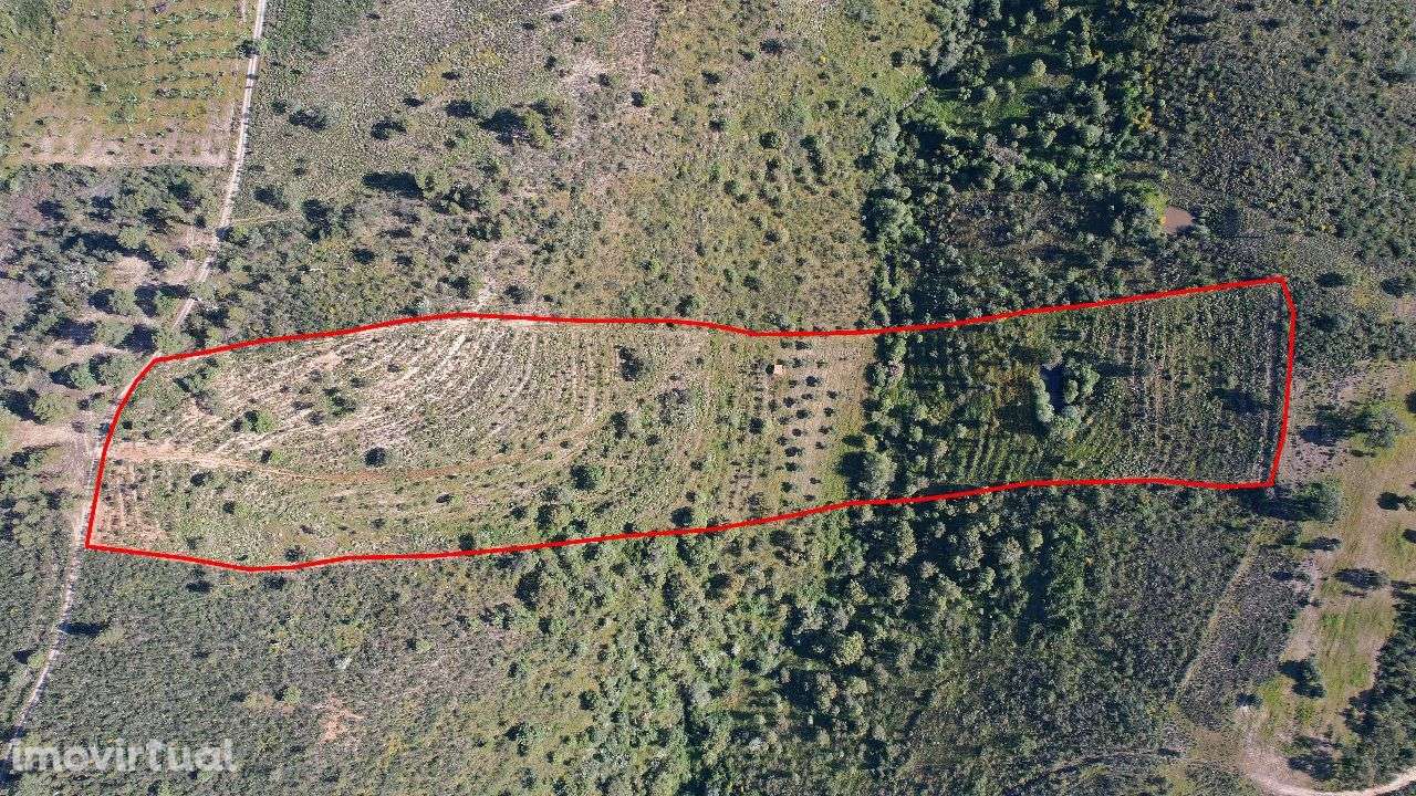 Terreno - Grande imagem: 2/6