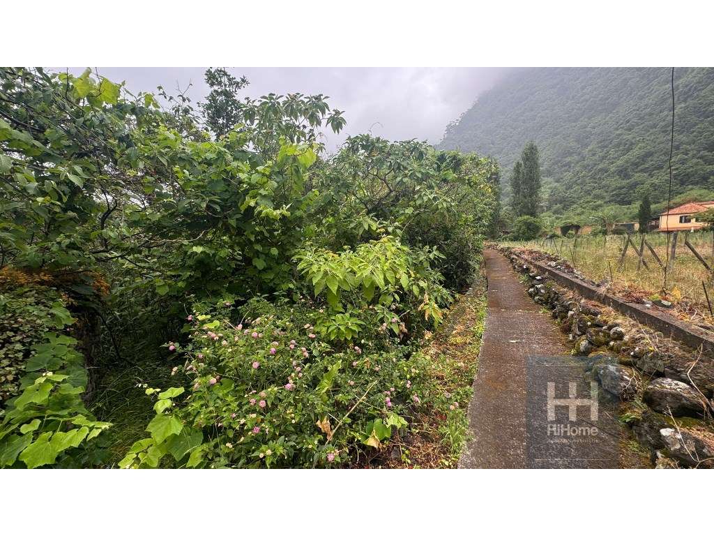 Terreno no Arco de São Jorge com 1.730 m2 | Caminho do Moinho - Grande imagem: 2/15