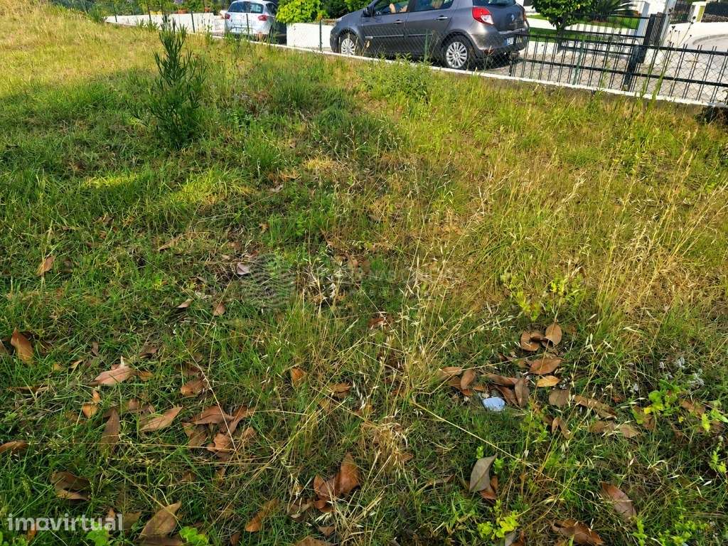 Terreno Perfeito para Construir Moradia - Ambiente e zona envolvent... - Grande imagem: 4/7