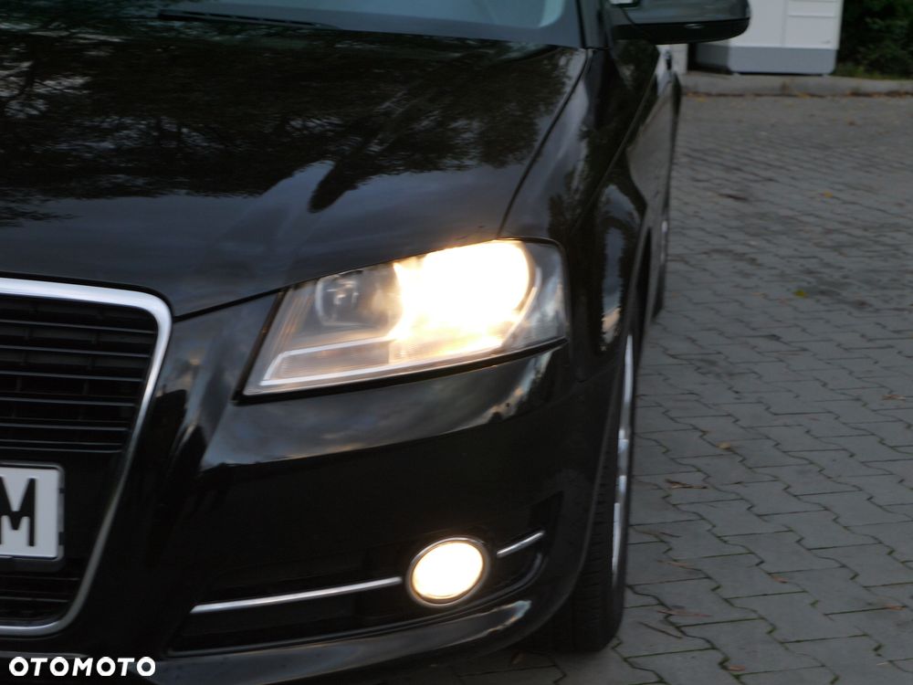 Audi A3 3-drzwiowe 1.6 Attraction - 24