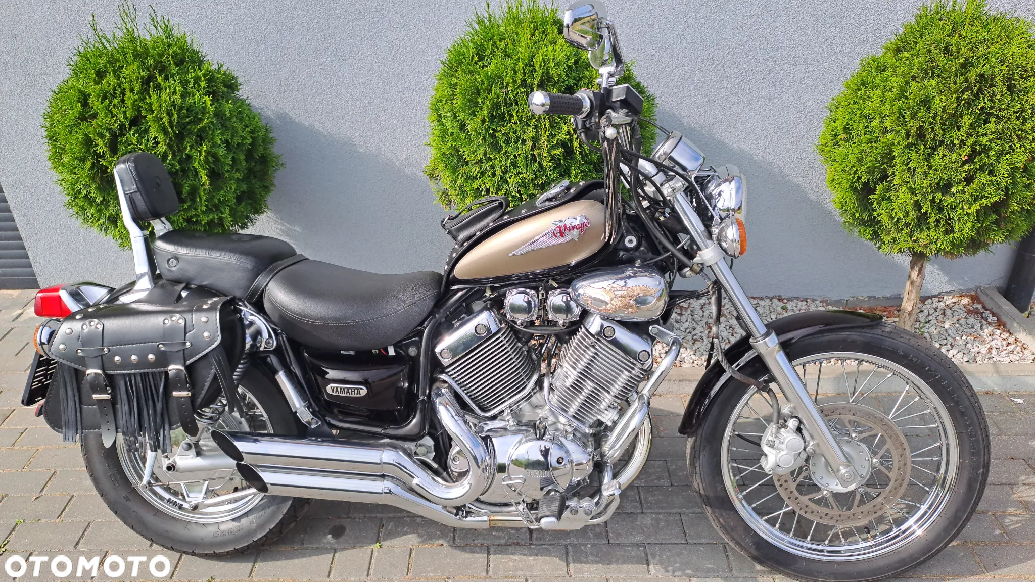 Yamaha Virago - 34