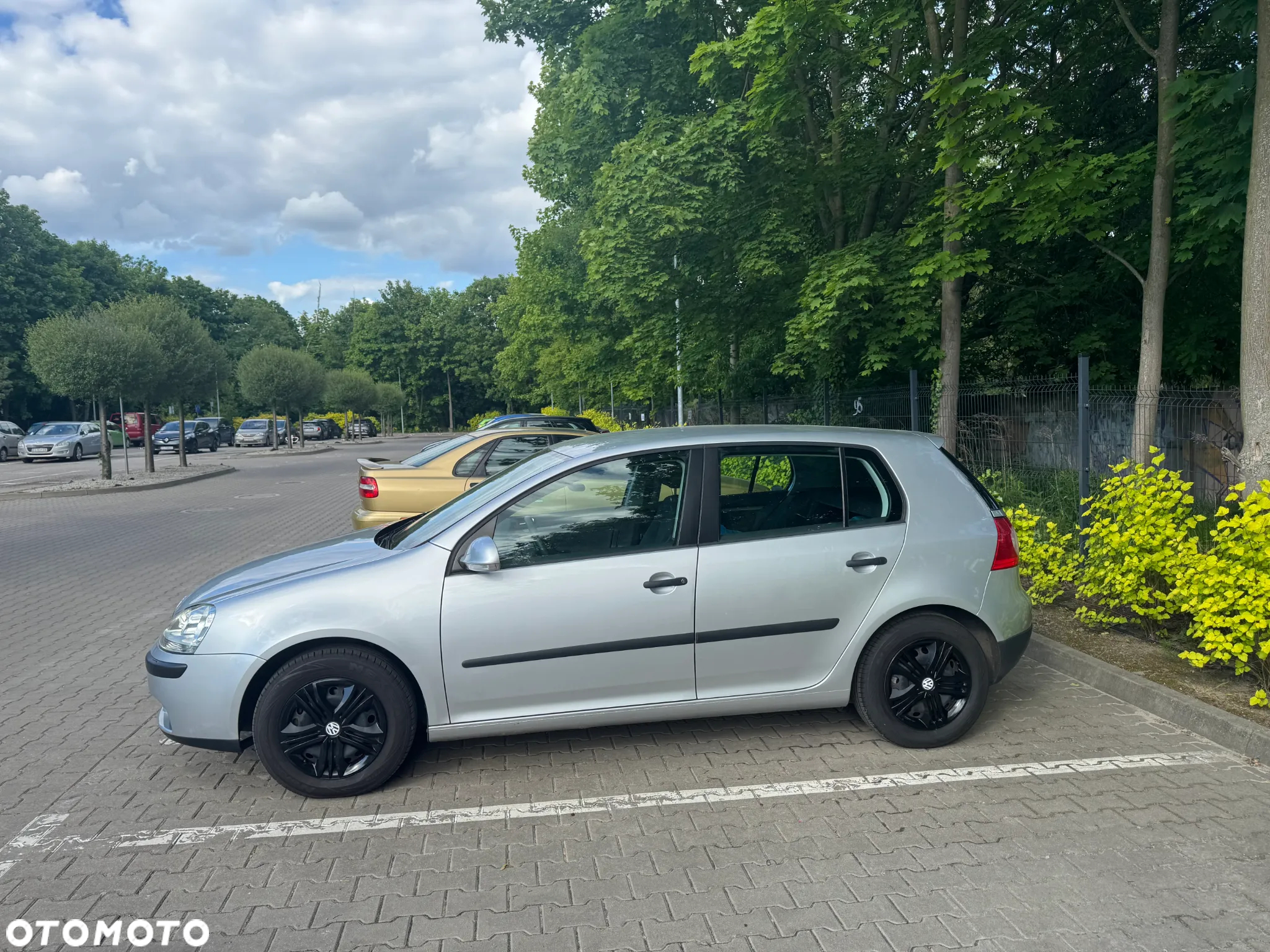 Volkswagen Golf V 1.6 FSI Trendline - 5
