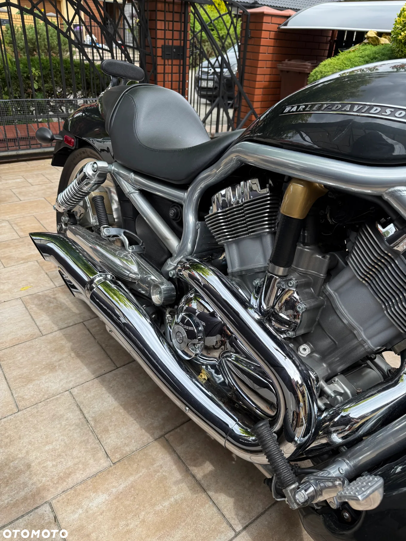Harley-Davidson Softail V-Rod - 7