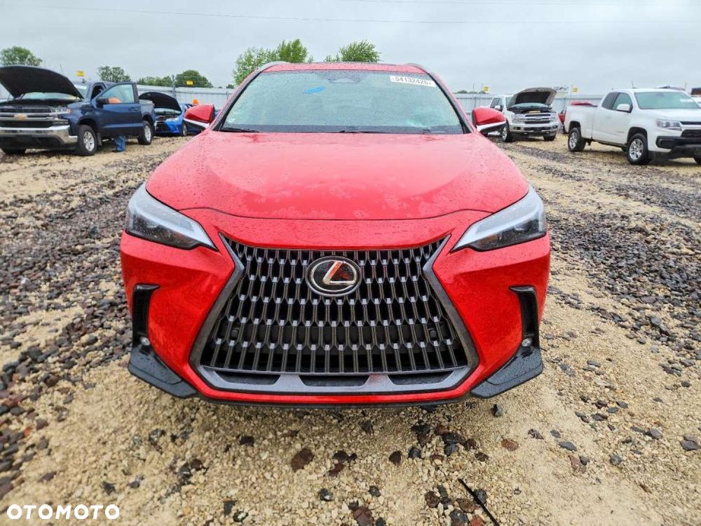 Lexus NX - 6