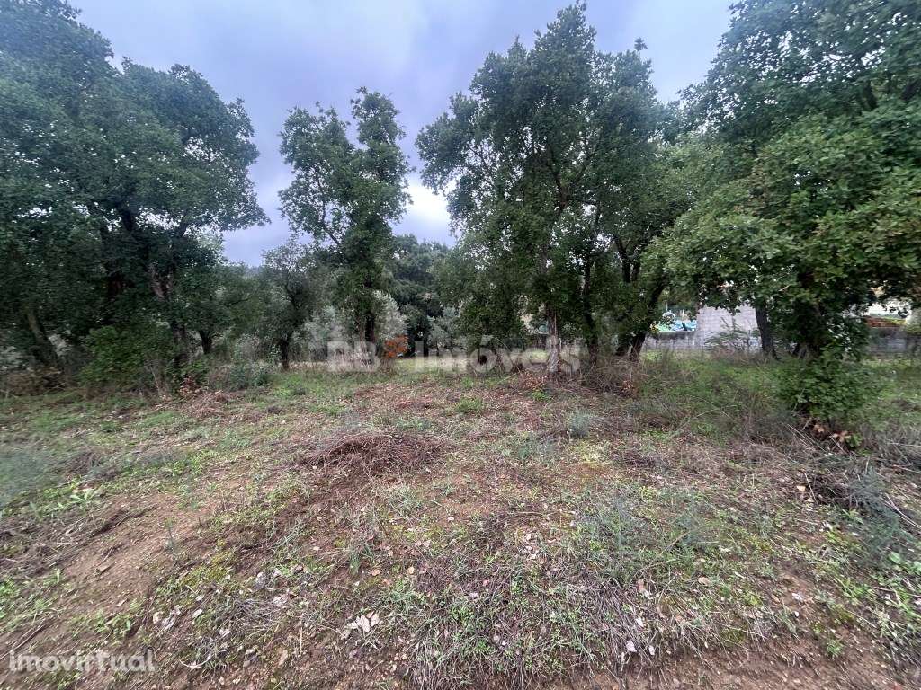 2 terrenos rústicos com 7160m2 - Aboboreira Fundeira, Tomar - Grande imagem: 3/19