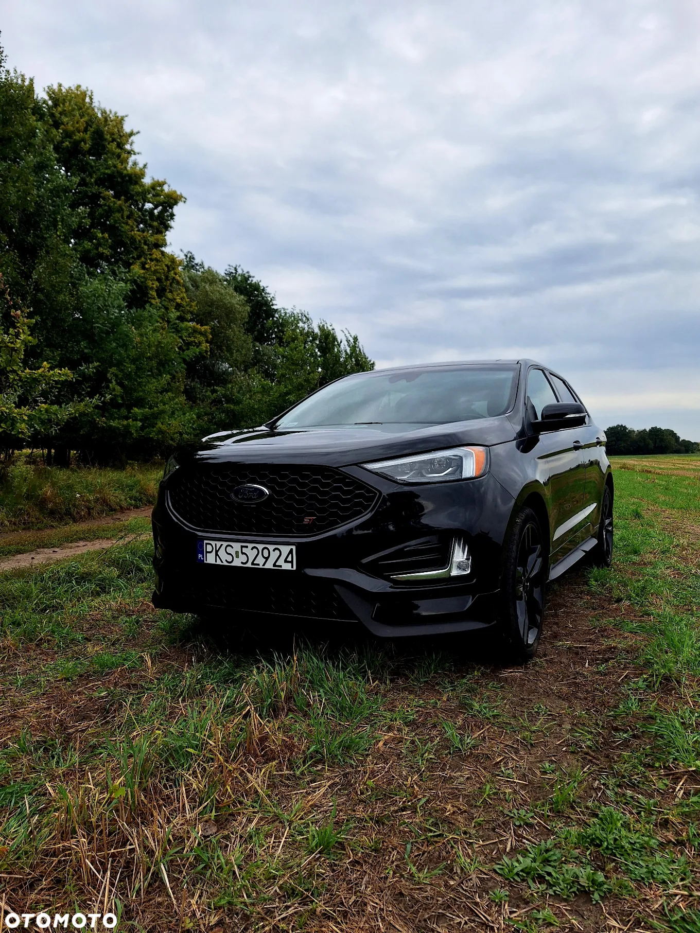 Ford Edge - 2