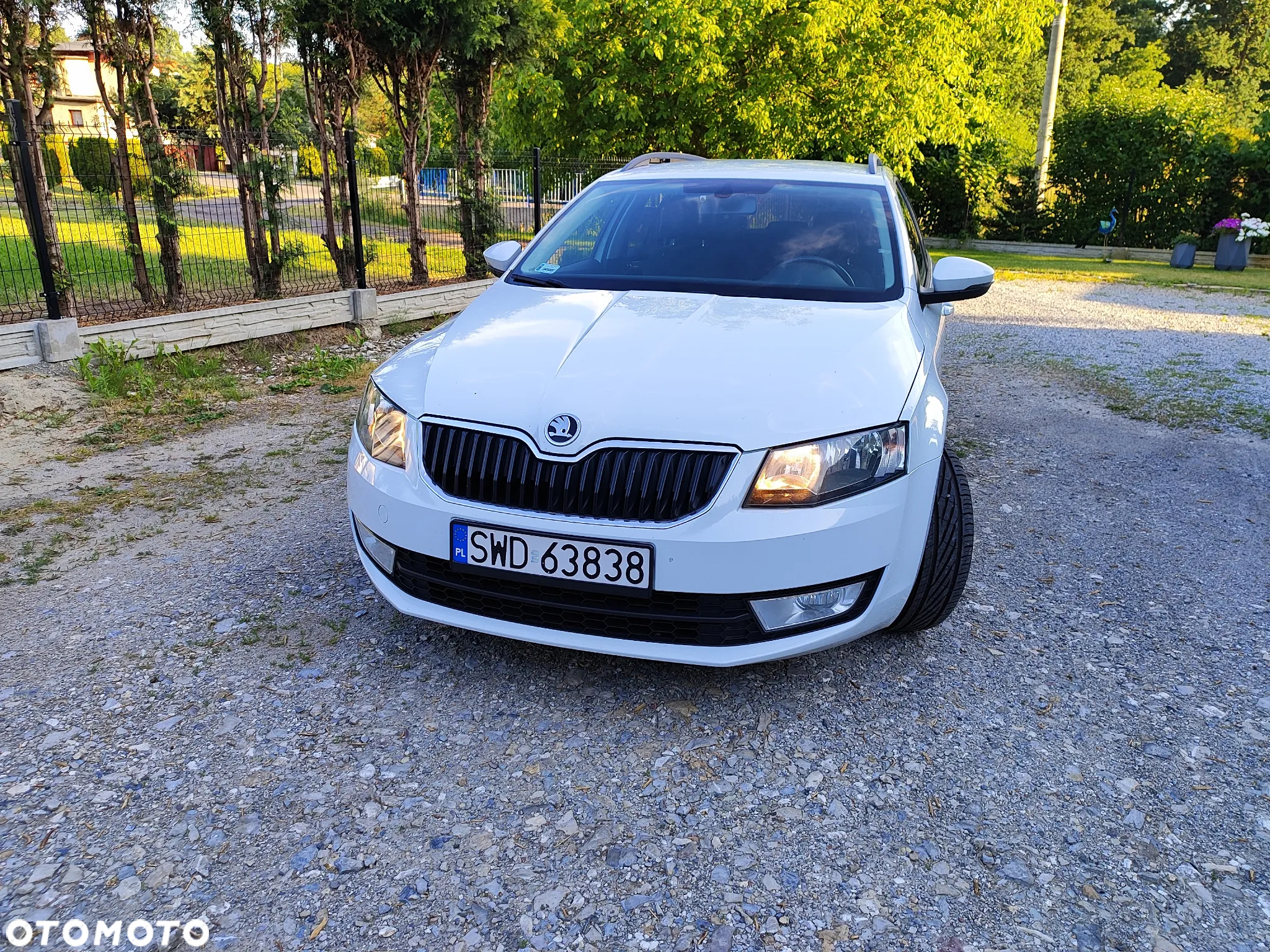 Skoda Octavia 1.6 TDI (Green tec) Joy - 3