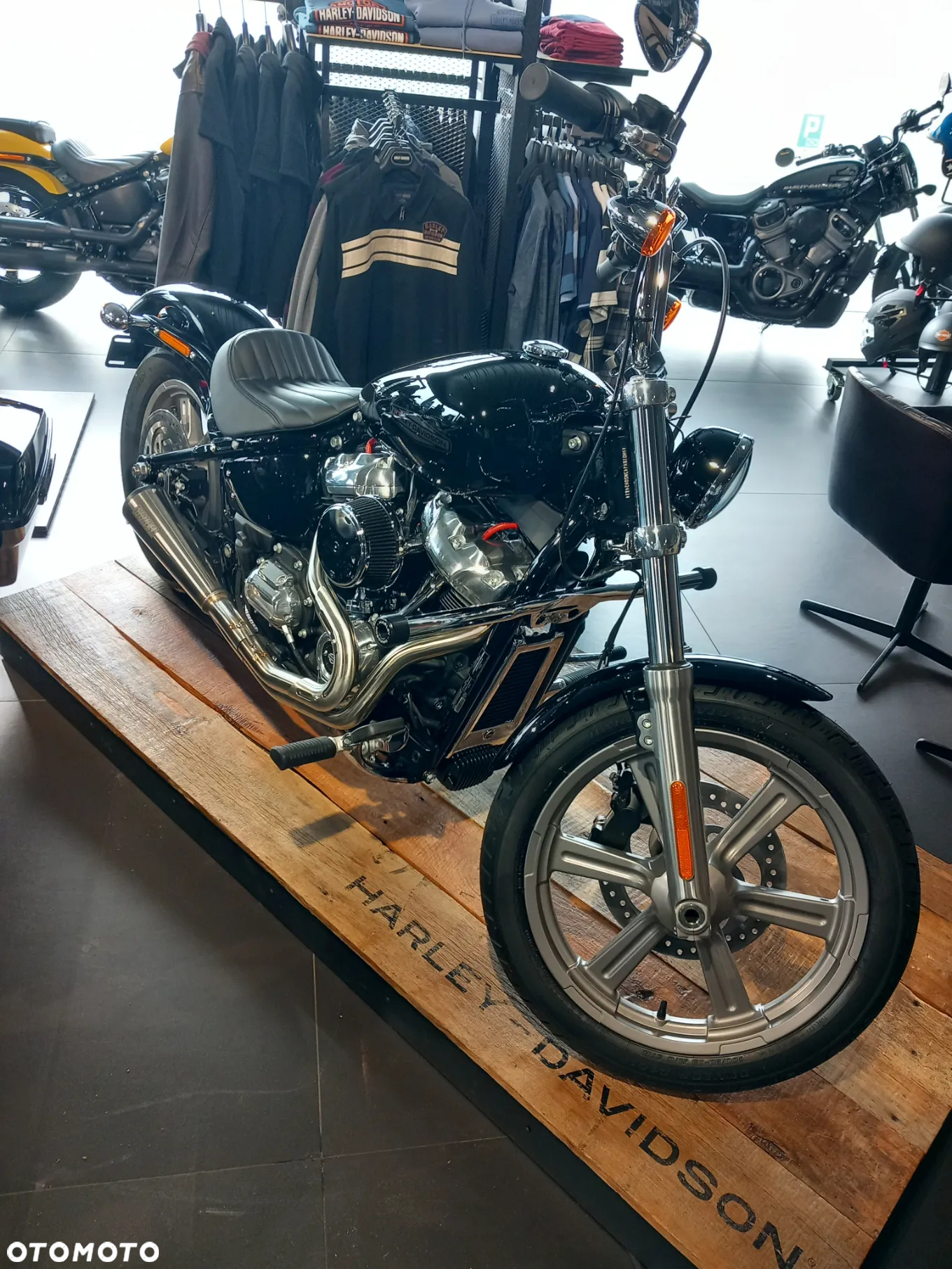 Harley-Davidson Softail Standard - 3