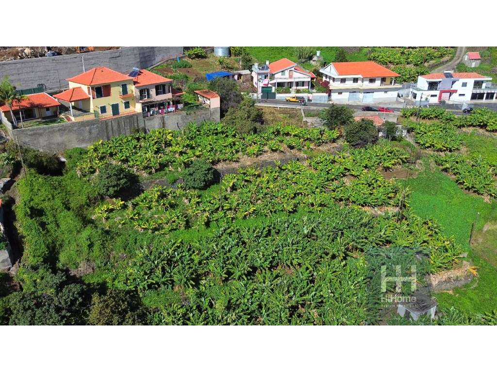 Terreno para construção de moradias com vista mar na Ribeira Brava - Grande imagem: 3/9