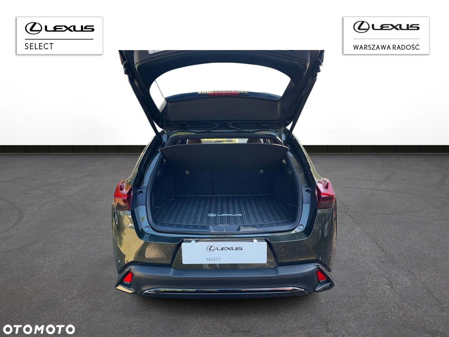 Lexus UX 250h GPF F Sport Design 2WD - 4