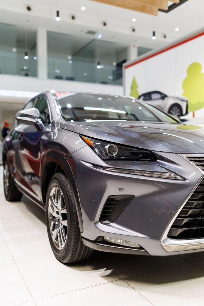 Lexus NX - 13