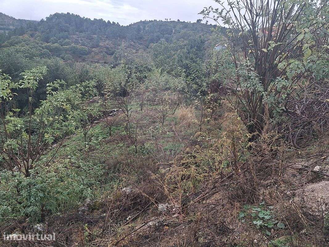 Terreno  para venda - Grande imagem: 2/14
