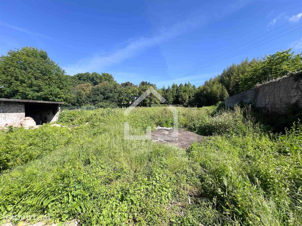Moradia T3 RENOVADA - 2.860m2 de Terreno - Grande imagem: 3/8