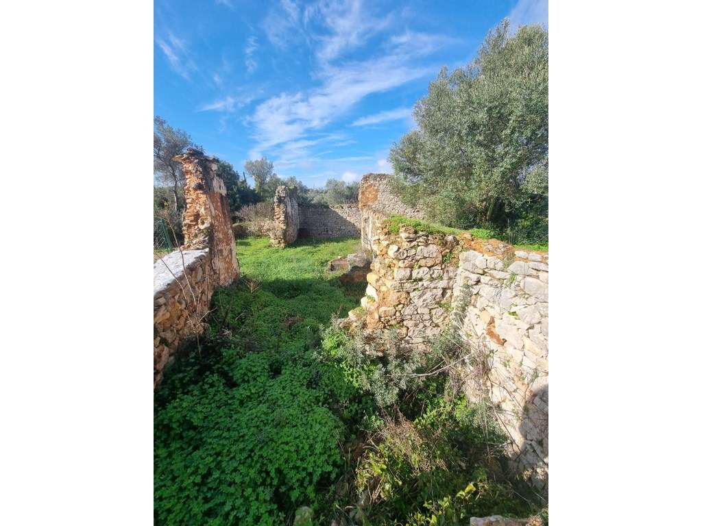 Terreno Misto com Projeto Aprovado a apenas 5 minutos do centro de ... - Grande imagem: 2/12