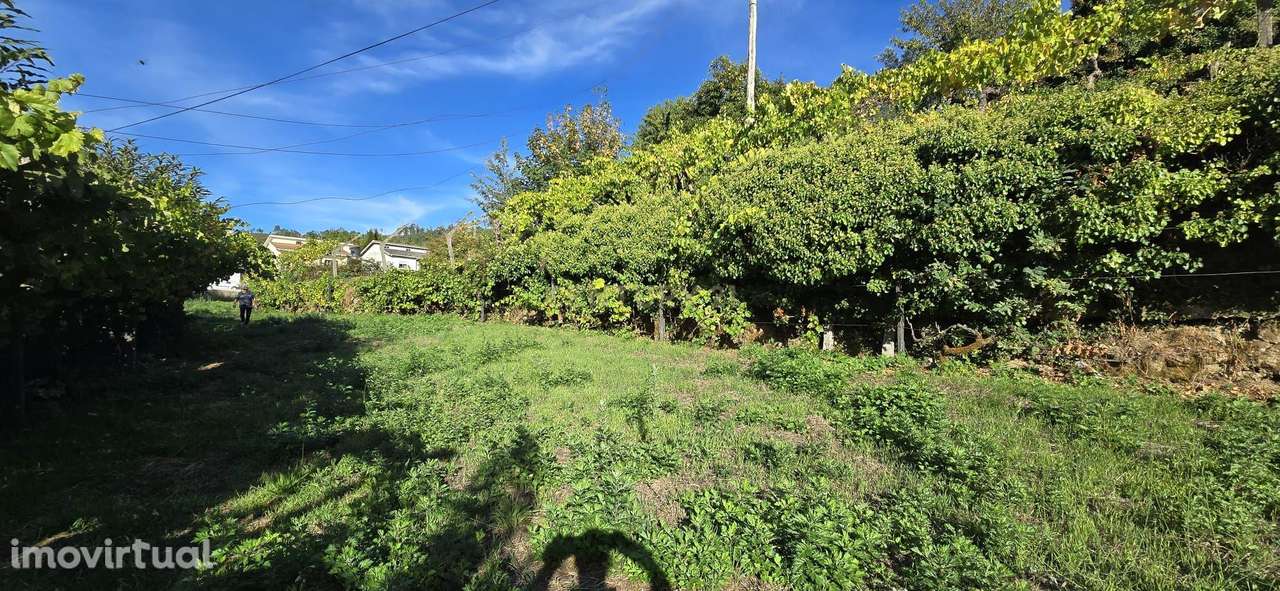 Terreno com viabilidade de construção em Gestaçô, Baião - Grande imagem: 2/16